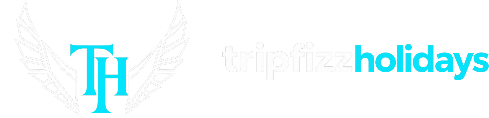 Tripfizz Holidays