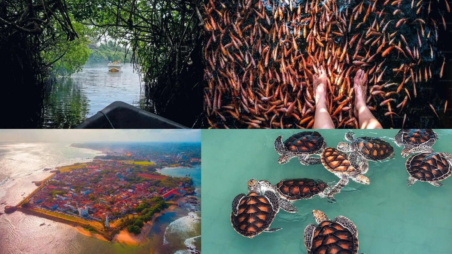 Sri Lanka